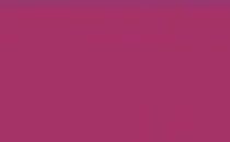 311 Fucsia